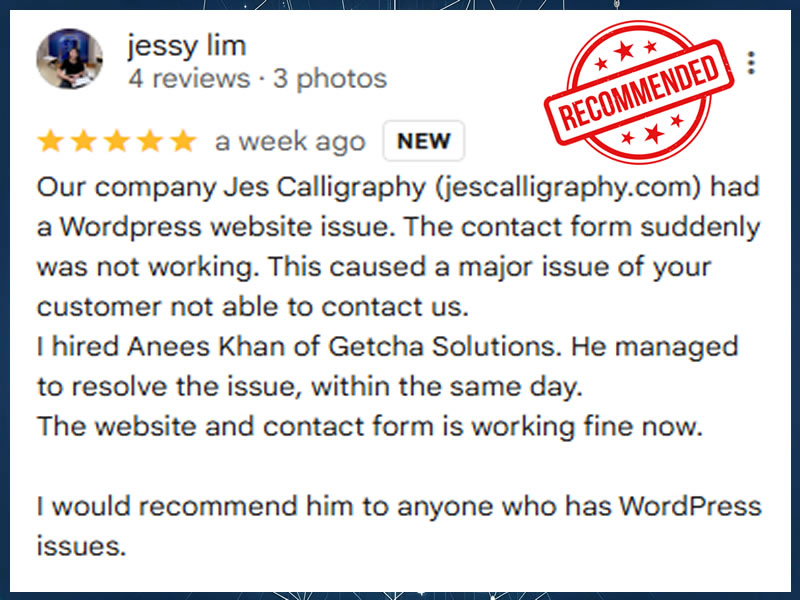 WordPress Issue and Conversion Recovery